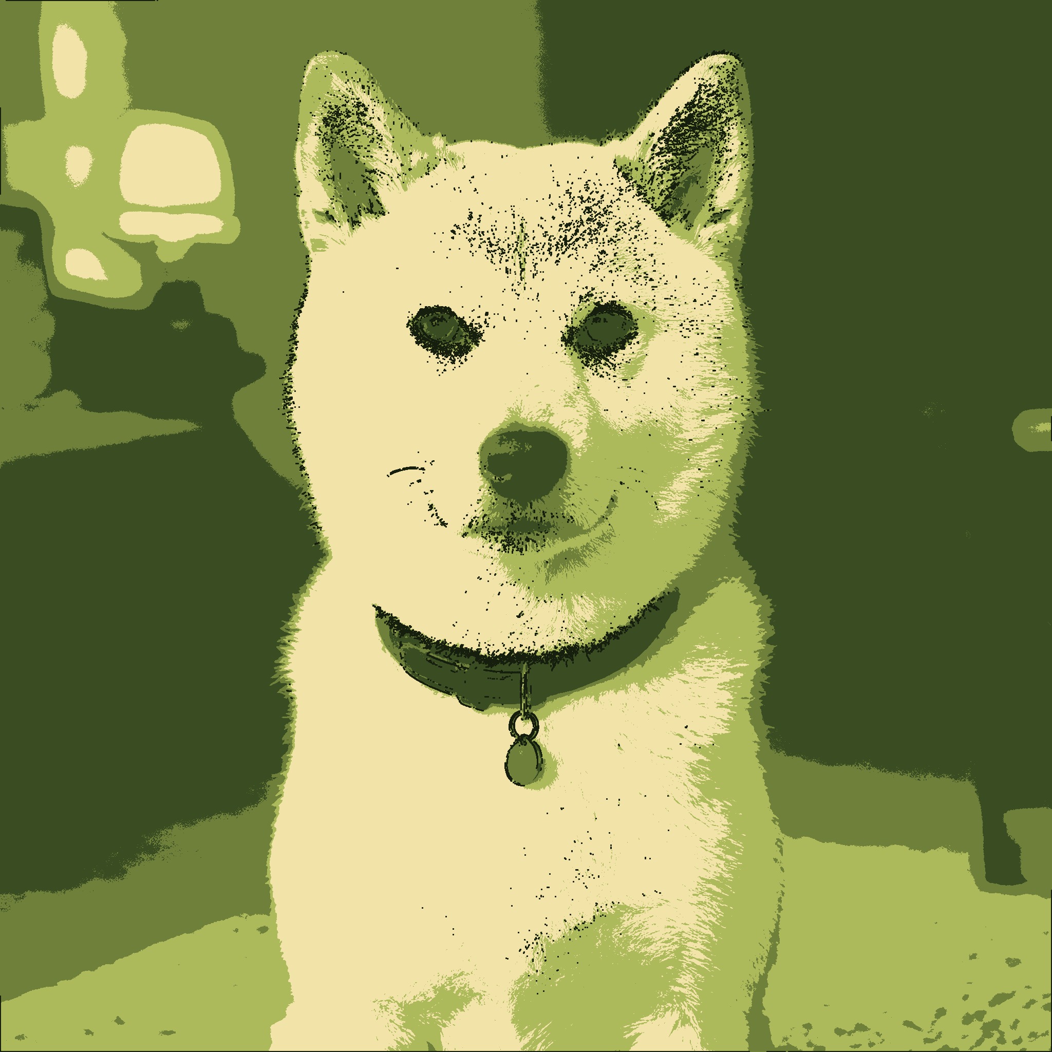 Pet photo with the matcha filter